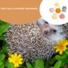 Huvqianu Hedgehog Treats and Toys - 6X Plush Chew Variety Pack view 3