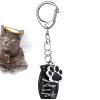 Dog Ashes Urn with Keyring view 1