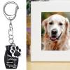 Dog Ashes Urn with Keyring view 3