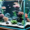 Aquarium Cave view 2