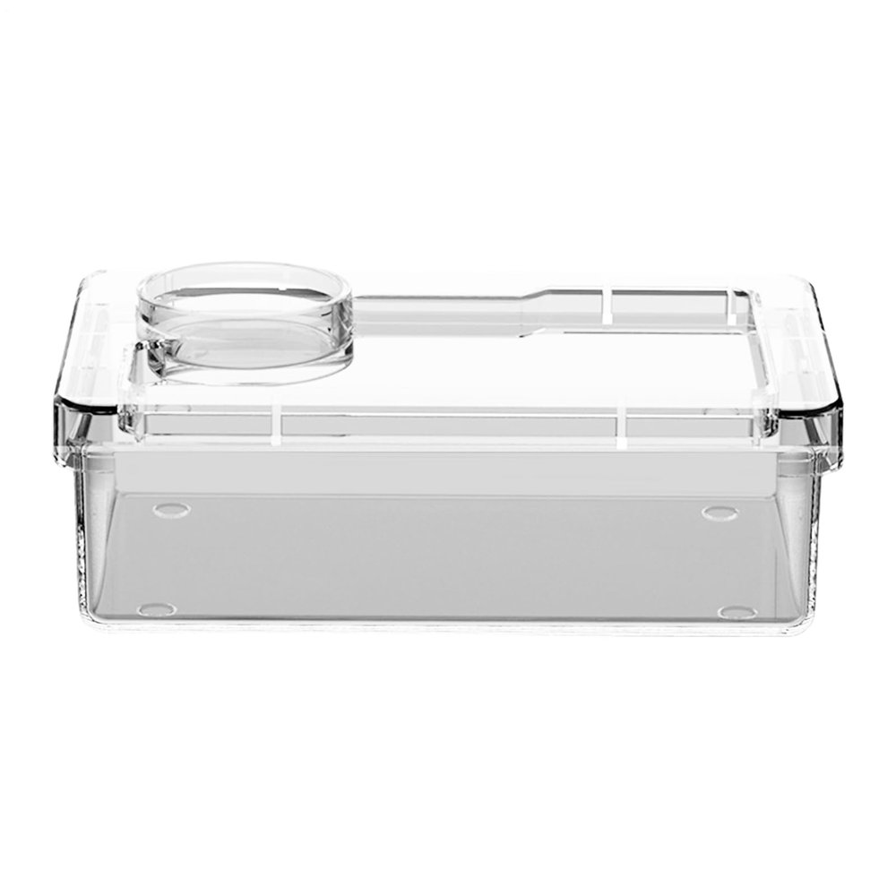 Brtiger Dragon Feed - Reptile Water Bowl