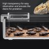 Brtiger Dragon Feed - Reptile Water Bowl view 2