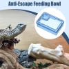 Reptile Feeding Bowl view 2