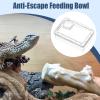 Feeding Station | Anti-Feeding Station with Hood for Reptiles view 2