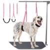 Dog Belly Strap, 3-Piece Grooming Restraint Set, Light Pink view 1