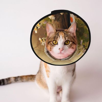 Two Hedgehog Dog Cone Collar, Protective Recovery Collar for Dogs and Cats