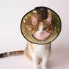 Two Hedgehog Dog Cone Collar, Protective Recovery Collar for Dogs and Cats view 1