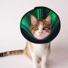 Green Line Pet Cone Collar for Dogs and Cats view 1
