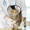 AFCJLTO Pet Cone Recovery view 2