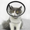 AFCJLTO Pet Cone Recovery view 3