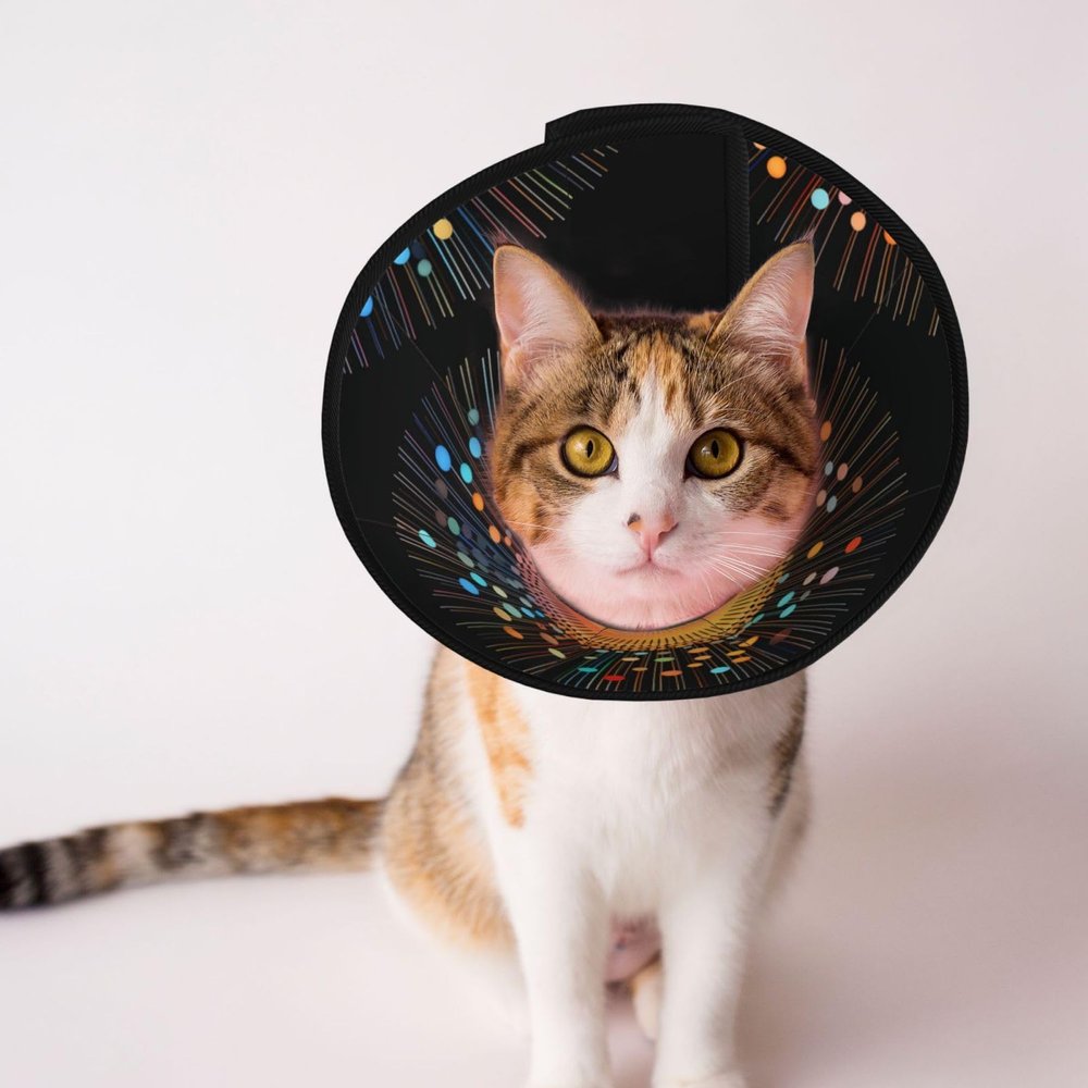 Umbrella-Pattern Recovery Collar for Dogs and Cats