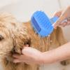 Rrlihjgu Steam Cat Brush - Dual-Sided De-Shedding Comb view 3