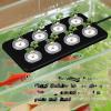 Aquarium Plant Holder with Suction Cup view 3