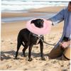 GANAZONO Waterproof Dog Collar with Cone for Small to Large Dogs view 4