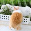 Hay Feeder and Grass Storage Rack for Small Animals view 2