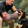 Dog Training Bite Sleeve, Foldable Arm Sleeve view 3