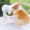 Hay Holder & Feeder for Small Pets view 3