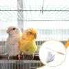 Gralara Bird Cage Cleaning Tool with Gloves view 2
