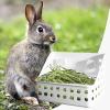 Hay Holder for Rabbits view 3