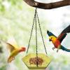 Palaufr Small Bird Bath, Polygonal Bird Feeder for Outdoors view 2