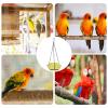 Palaufr Small Bird Bath, Polygonal Bird Feeder for Outdoors view 4