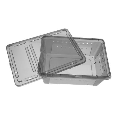 Plastic Spider Box for Small Reptiles, Feeding Container