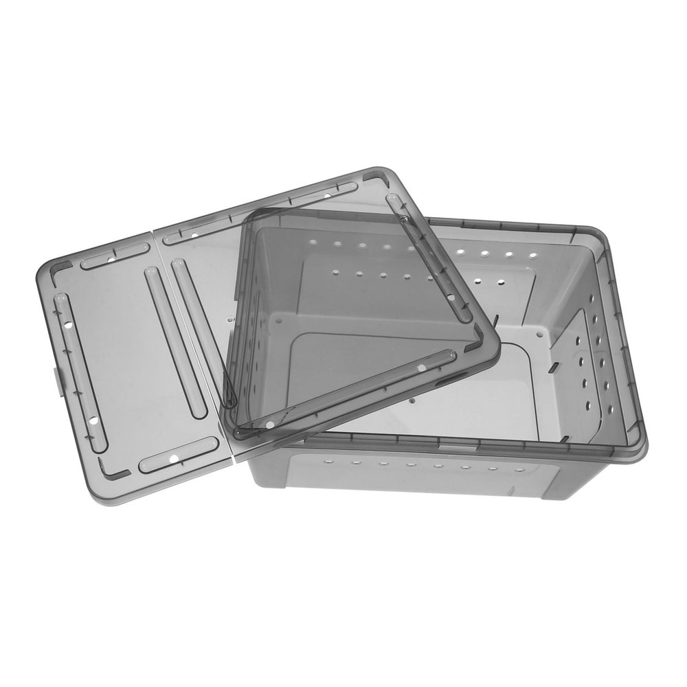 Plastic Spider Box for Small Reptiles, Feeding Container