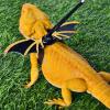 Lizard Harness and Leash Set view 3