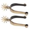 AYNEFY Premium Zinc Alloy Horse Spurs, Antique Brass Look, Rotatable, for Men and Women view 1