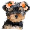 Abaodam 10-Piece Pet Bow Decoration for Halloween view 3