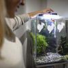 Pack of 6 Reusable Shrimp Feeders with Suction Cup Designs view 3