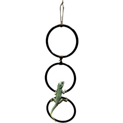 Snake Habitat Enrichment Decoration, 3-Ring Swing Chain