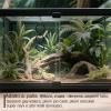 Snake Habitat Enrichment Decoration, 3-Ring Swing Chain view 2