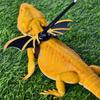 Bearded Dragon Lizard Leash Safety Harness Set view 3