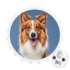 Magnetic Collie Dog Bottle Opener, Space-Saving Kitchen Tool and Fridge Magnet, White view 1