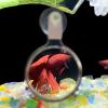 Aquarium Magnifier | 2.16 Inch Fish Tank Magnifier | Acrylic Pocket Magnifying Glass | Viewing Lens for Water Study Observation Hobbyist Tool for Kids Adults view 3
