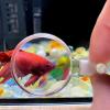 Aquarium Magnifier | 2.16 Inch Fish Tank Magnifier | Acrylic Pocket Magnifying Glass | Viewing Lens for Water Study Observation Hobbyist Tool for Kids Adults view 4