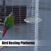 Bird Swing for Budgies - Stainless Steel Chew Bar view 4