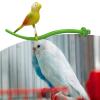 Hemousy Bird Play Stand - Indoor Chew Toy for Pet Birds view 3