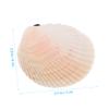 Alipis Natural Shell Decoration Craft Material 6-7cm Mermaid Decor Aquarium Accessory White view 2