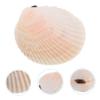 Alipis Natural Shell Decoration Craft Material 6-7cm Mermaid Decor Aquarium Accessory White view 4