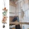 Octopus Bone - Natural Octopus Bone for Birds view 3