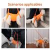 Dog Lifting Harness for Support and Recovery view 4