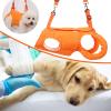 Dog Lift Harness, Breathable Flexible Walking Support Strap view 3