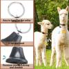 Goat Collar Strap with Anti-Loss Feature and Clear Sound view 3
