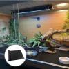 Bearded Dragon Liner - Non-Slip Reptile Terrarium Carpet view 3