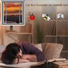 Self-Adhesive Window Screen with Zipper Opening, Cat-Safety Net, Anti-Mosquito Insect Screen view 4