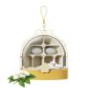 Children’s Breathable Transparent Small-Animal Breeding Habitat view 1