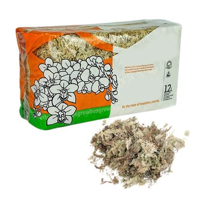 Obelunrp Dried Sphagnum Moss 150g