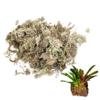 Obelunrp Dried Sphagnum Moss 150g view 2